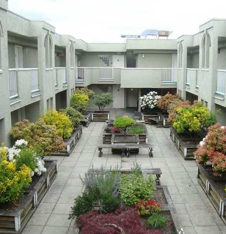 Camfray Gardens photo 2