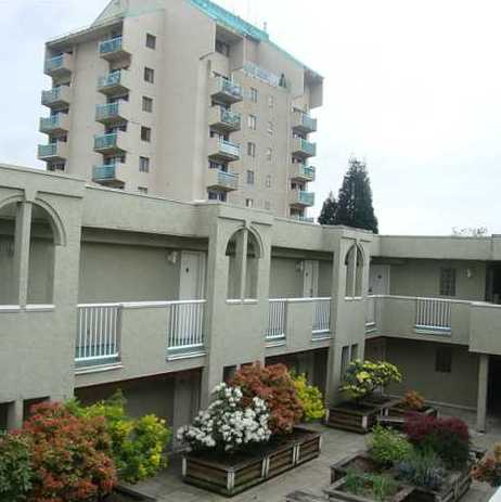Camfray Gardens photo 3