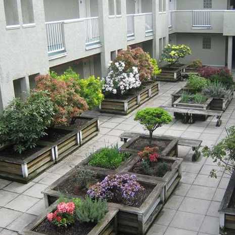 Camfray Gardens photo 4