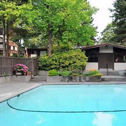 Shawn Oaks photo 3