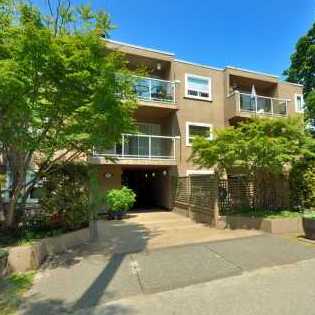 Mount Pleasant/soma photo 2