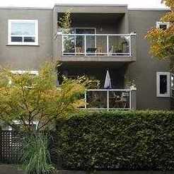 Mount Pleasant/soma photo 3