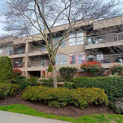 Laburnum Heights photo 4
