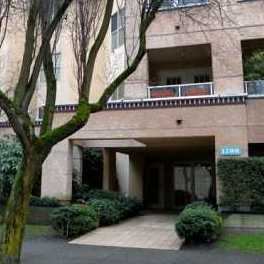 The Hampstead photo 4