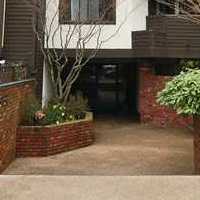 Dorchester Place photo 3