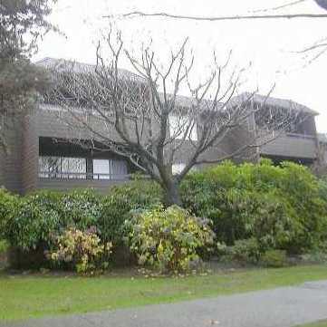 Photo 3 — click to view Twelve Pines photo 3