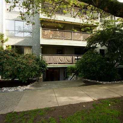 Haro Glen photo 2