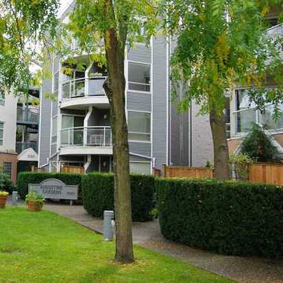 Augustine Gardens photo 3