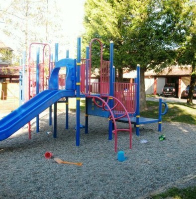 Cedar Park photo 3
