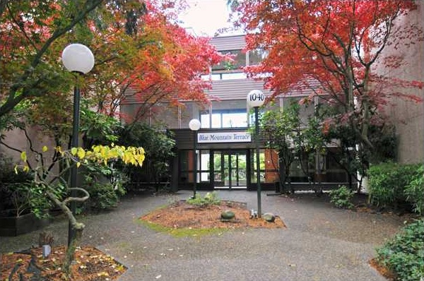 Blue Mountain Terrace
