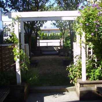 The Courtyards photo 4