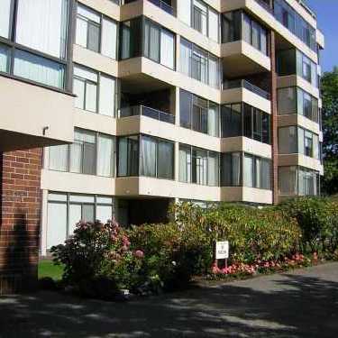Arbutus Village photo 4