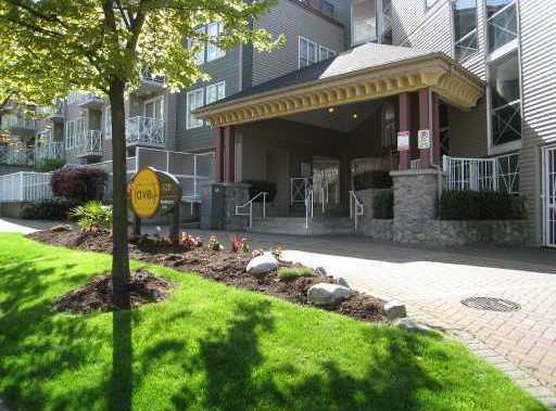 The Ave photo 3