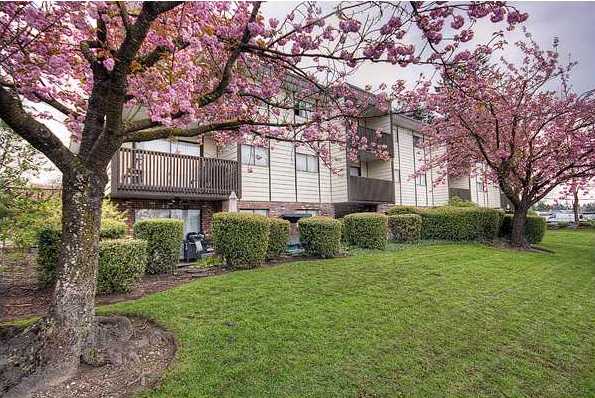 Angus Place photo 3