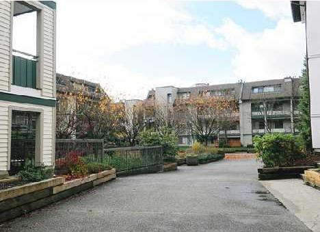 Pacific Glen photo 3