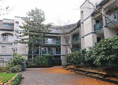 Pacific Glen photo 4