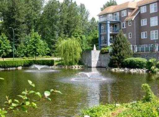 Lakeside Terrace photo 3
