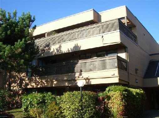 Langara Court photo 3
