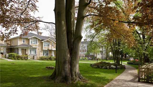 Churchill Gardens photo 4