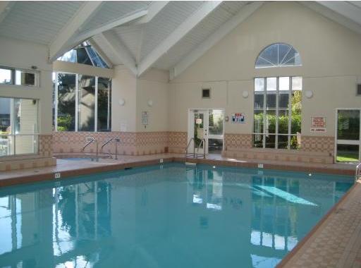 Langara Springs photo 3