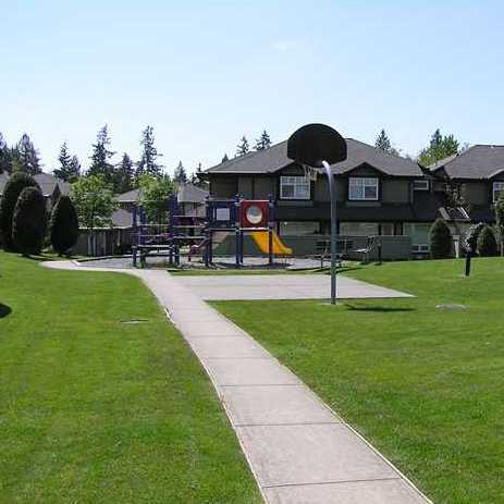 Maplewood Creek photo 3