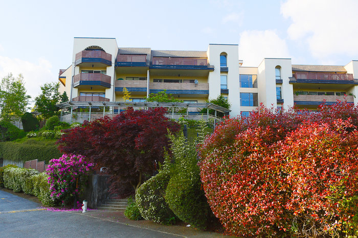 Photo 2 — click to view Douglas View photo 2