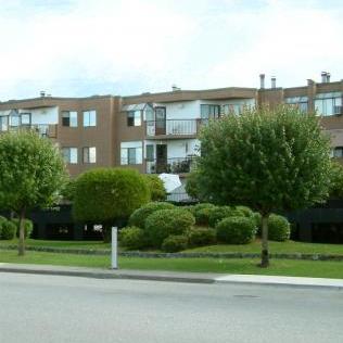 Moonlight Grove photo 4