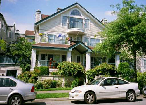 Photo 1 — click to view Windgate Willow photo 1