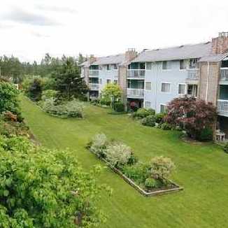 Fraser Court photo 4