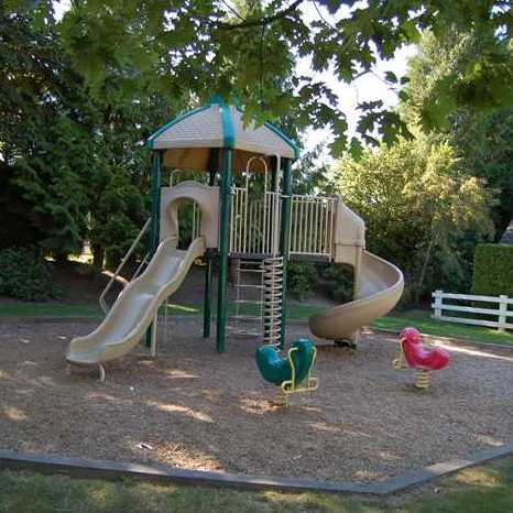 Sommerville Gardens photo 4