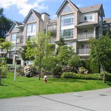 River Gardens photo 2