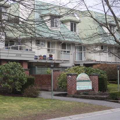 Mountain View Terrace photo 2