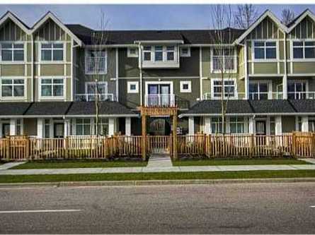 Cassia photo 2