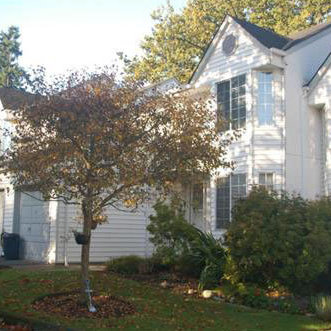Henderson Estates photo 2