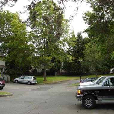 Orchard Hills photo 4