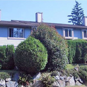 Wedgewood Lane photo 2