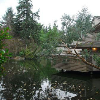 Edgewater photo 3