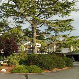 Lakeside Place photo 2