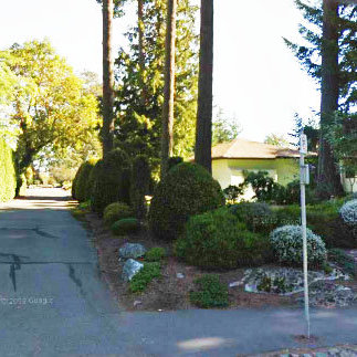 Photo 3 — click to view Royal Woods photo 3