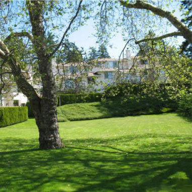 Fairway Oaks photo 3