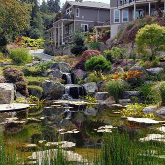 Madrona Creek photo 2
