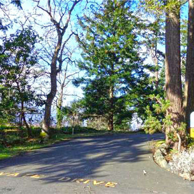 Village Grove photo 4