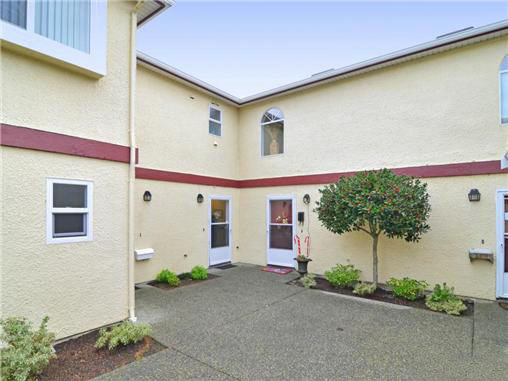 Brandy Mews photo 3