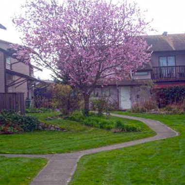 Pacific Village photo 2