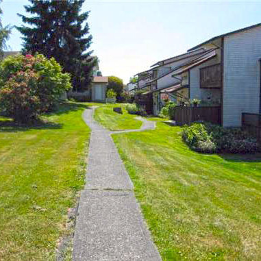Pacific Village photo 3