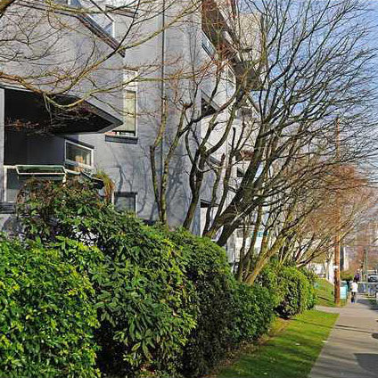 Laurel Place photo 4