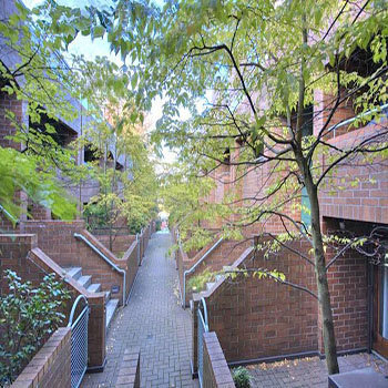 Willow Court photo 3