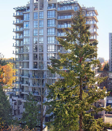 Photo 3 — click to view Corus photo 3