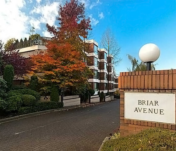 The Briar photo 3