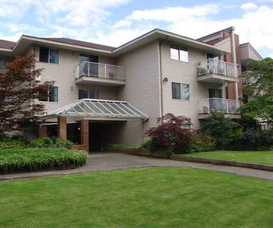 Pine Court photo 4